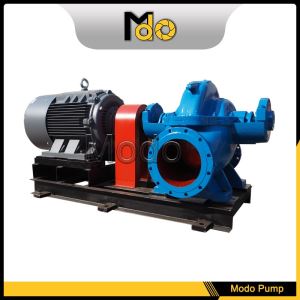 Big Volute Double Suction Pump