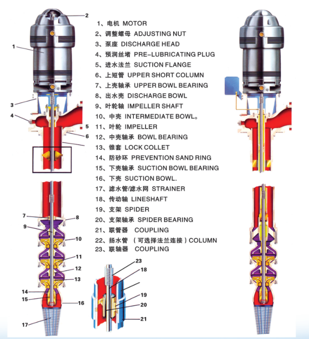 立式长轴泵解剖图.png 立式长轴泵解剖图.png