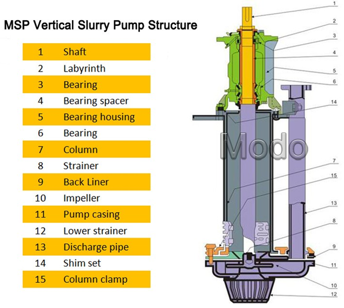SP structure.png