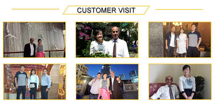custom visit