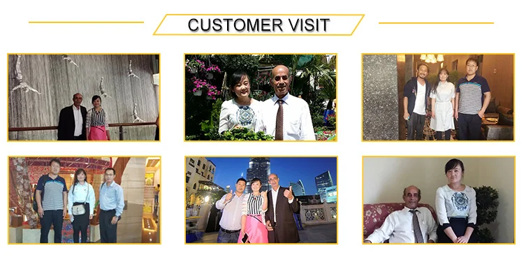 custom visit