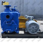 Strong Suction Ability Self Priming Pump
