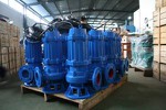Submersible Water Pump