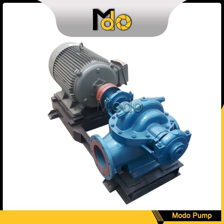 Horizontal Split Case Water Pump