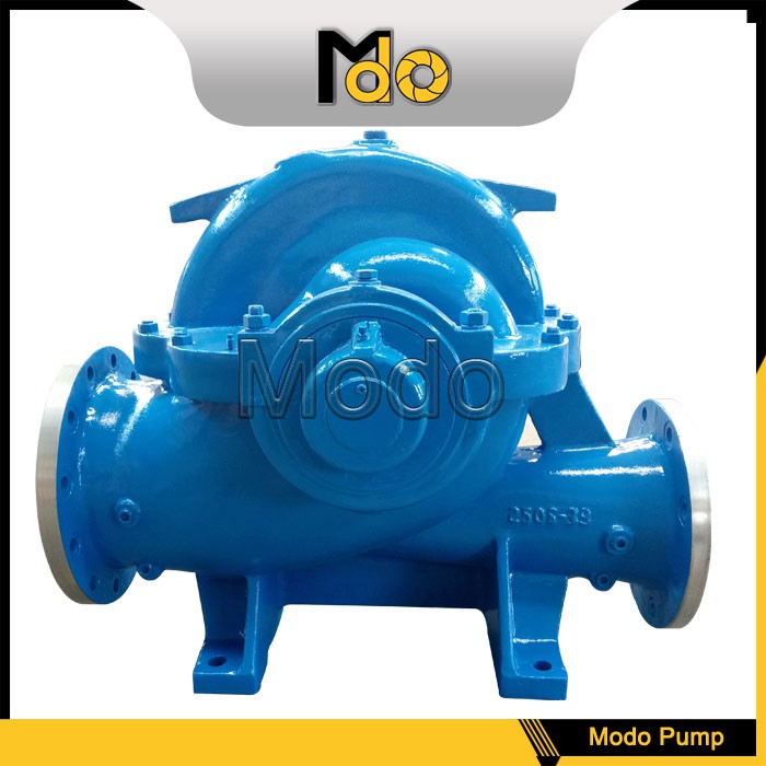 Duplex Steel Water Pump