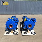 Heavy Duty Sludge Pump