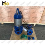 Vertical Sewage Pump